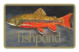 Brookie Sticker 5 inch