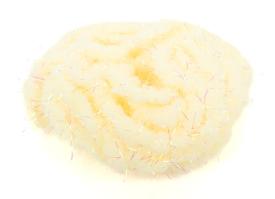 Eggstasy Pearl 12MM