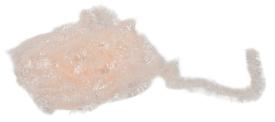 Fasna Translucent Fritz 10MM