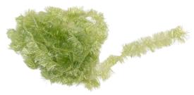 Fasna Translucent Fritz 15MM
