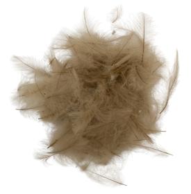 SwissCDC CDC Feathers Standard 1 Gram