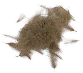 SwissCDC CDC Feathers Standard 1 Gram