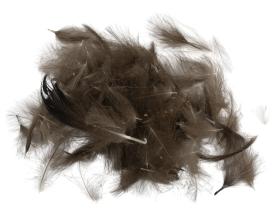 SwissCDC CDC Feathers Standard 1 Gram