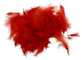 SwissCDC CDC Feathers Standard 1 Gram