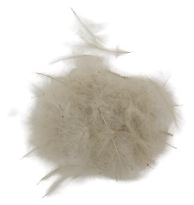SwissCDC CDC Feathers Standard 100% Biologically Dyed 1 Gram