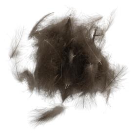 SwissCDC CDC Feathers Super Select 0,5 Gram