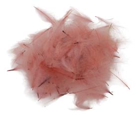 SwissCDC CDC Feathers Super Select 100% Biologically Dyed 1 Gram