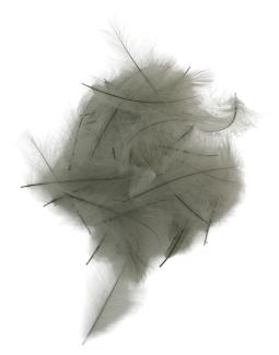SwissCDC CDC Feathers Ultra Select XL 0,5 Gram