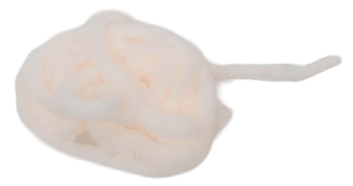 21. Biscuit