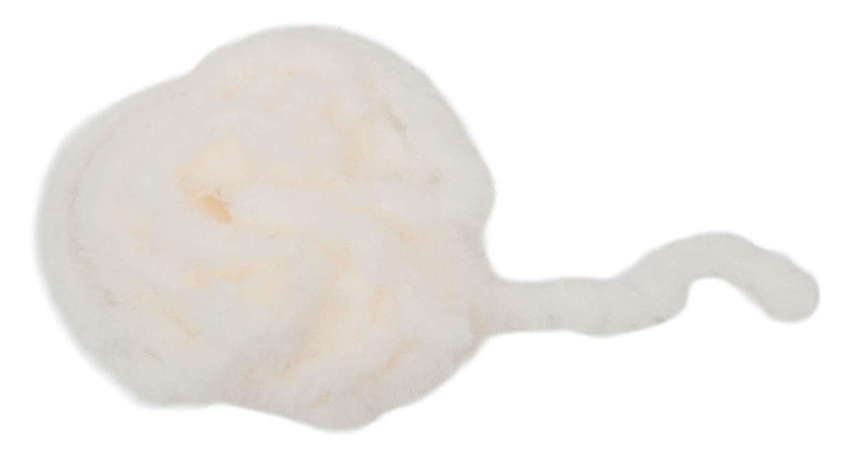 21. Biscuit