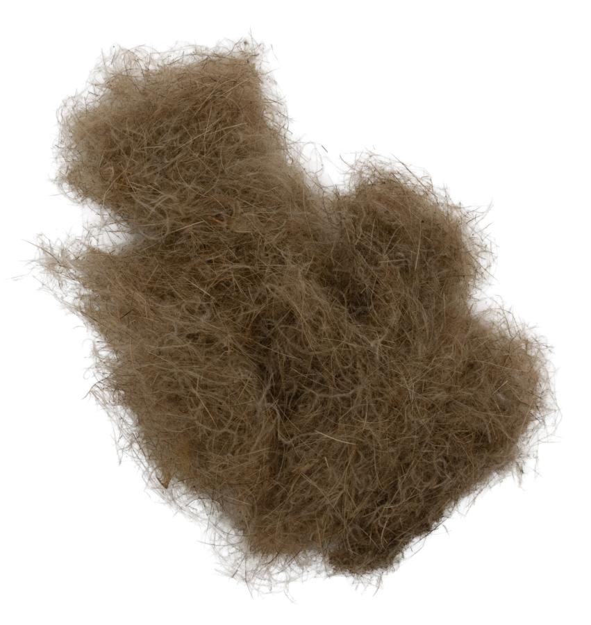 06 - Brown