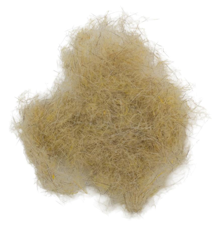 09 - Pale Yellow