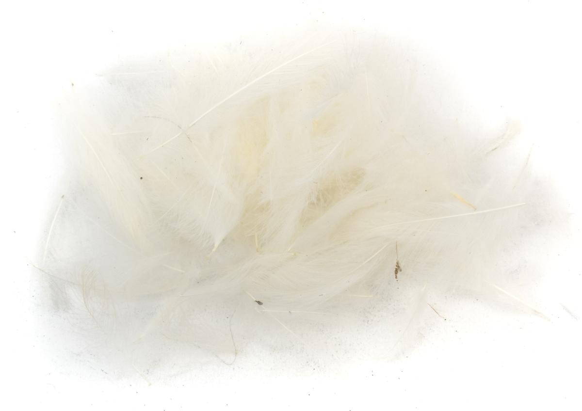 01 - White