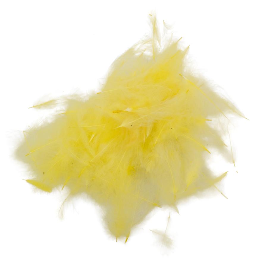 11 - Yellow