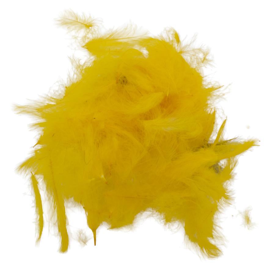 12 - Gold Yellow