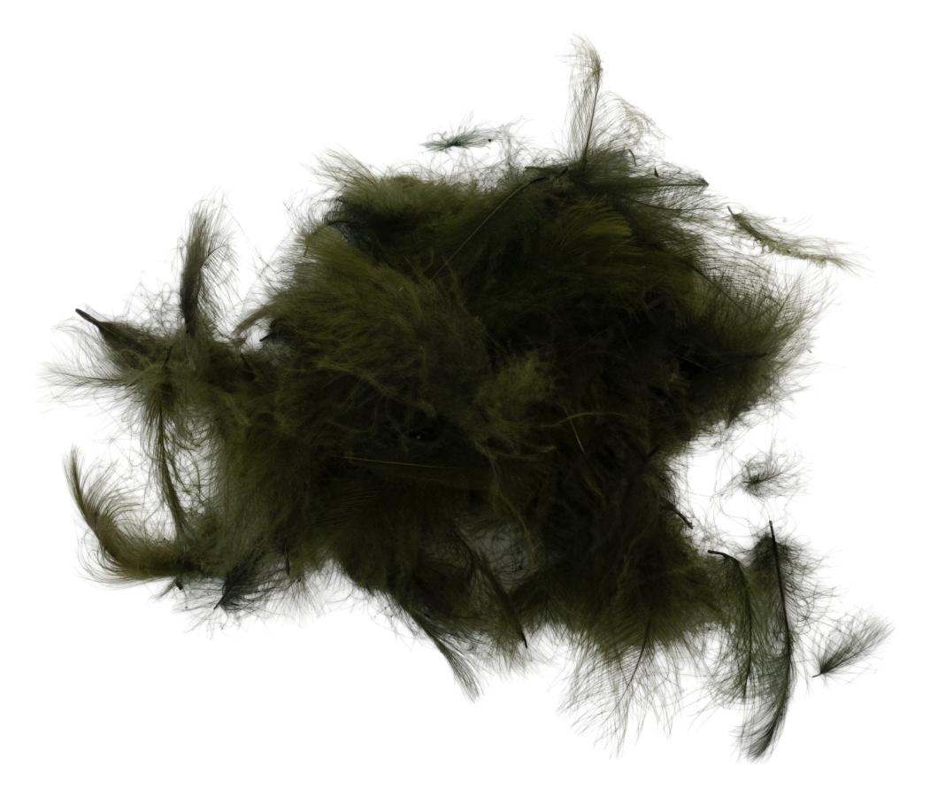 25 - Very Dark Olive
