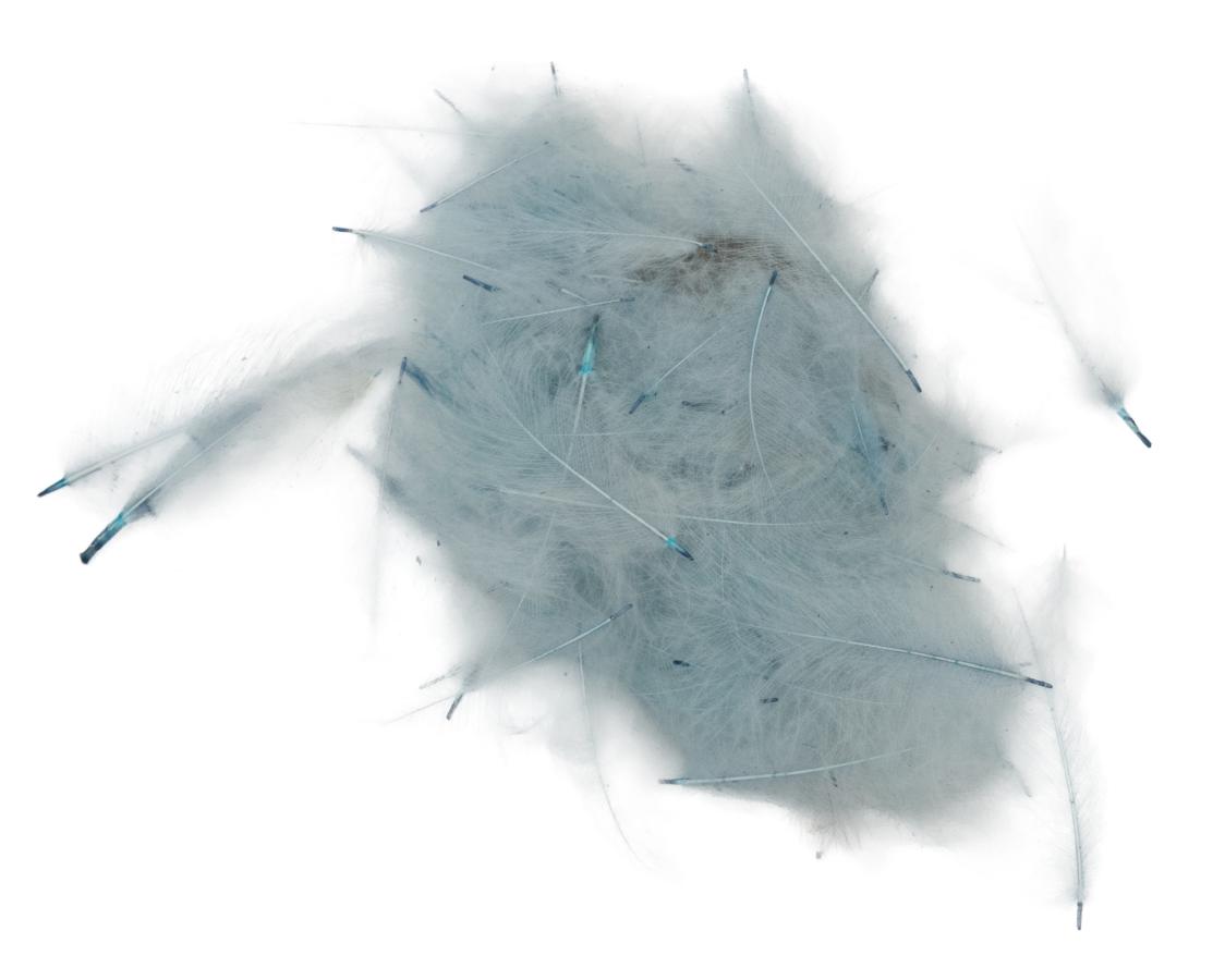 27 - Pale Blue