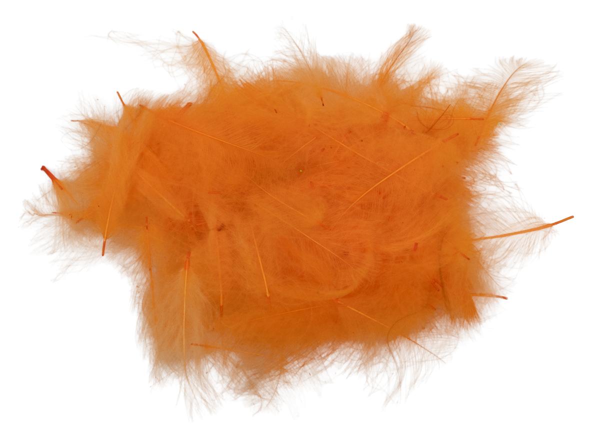 28 - Pale Orange