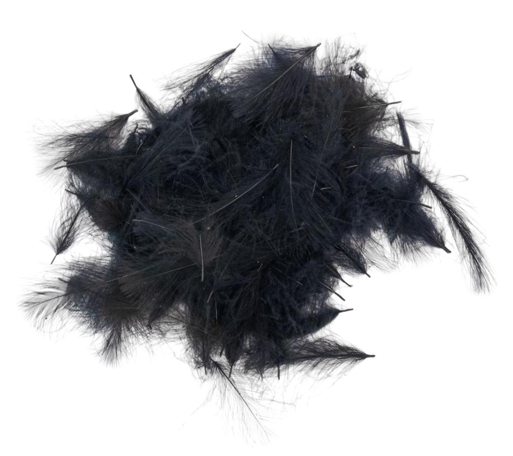 33 - Black