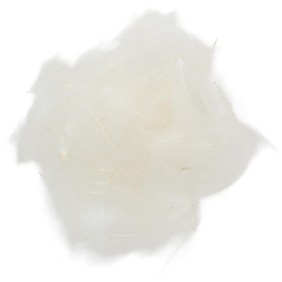 01 - White