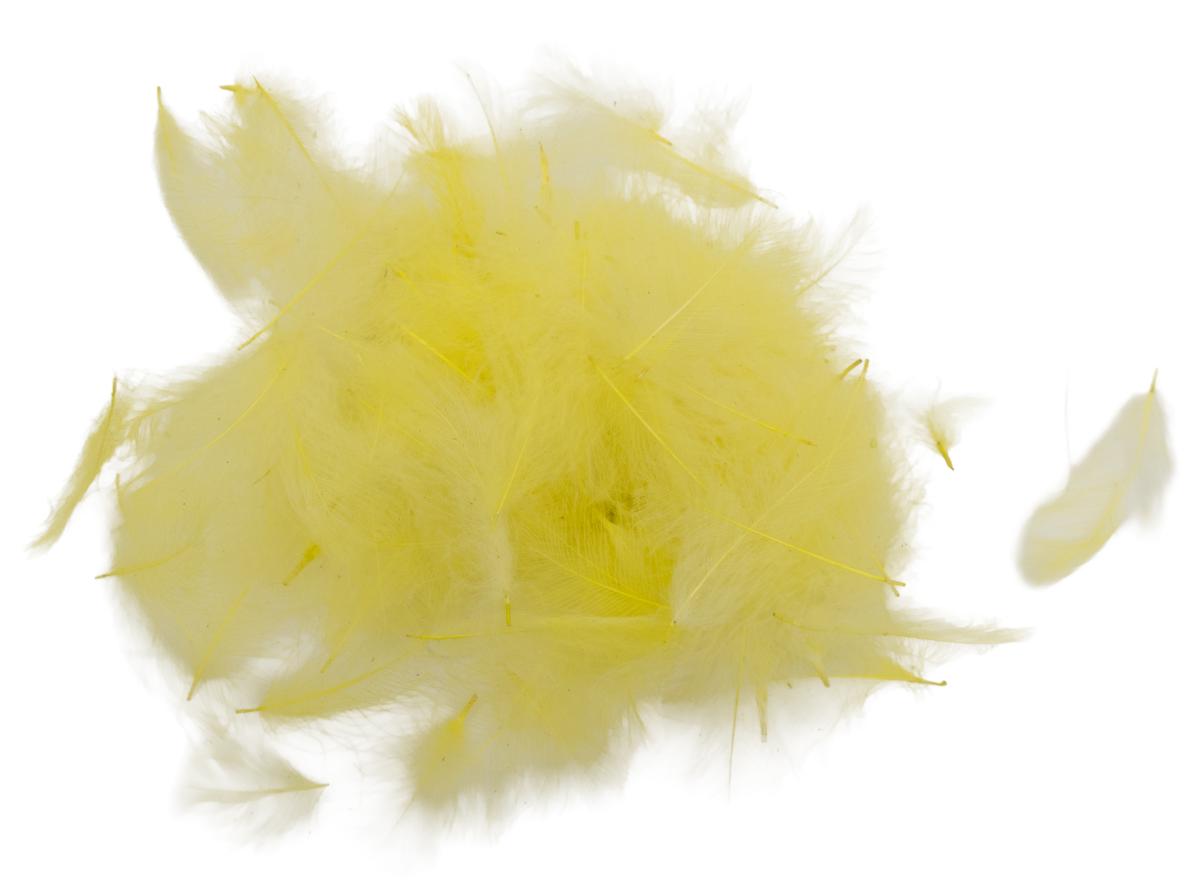 09 - Pale Yellow