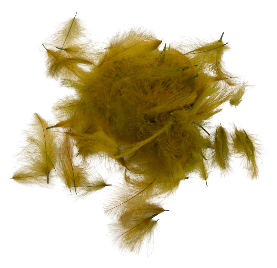 22 - Pale Olive
