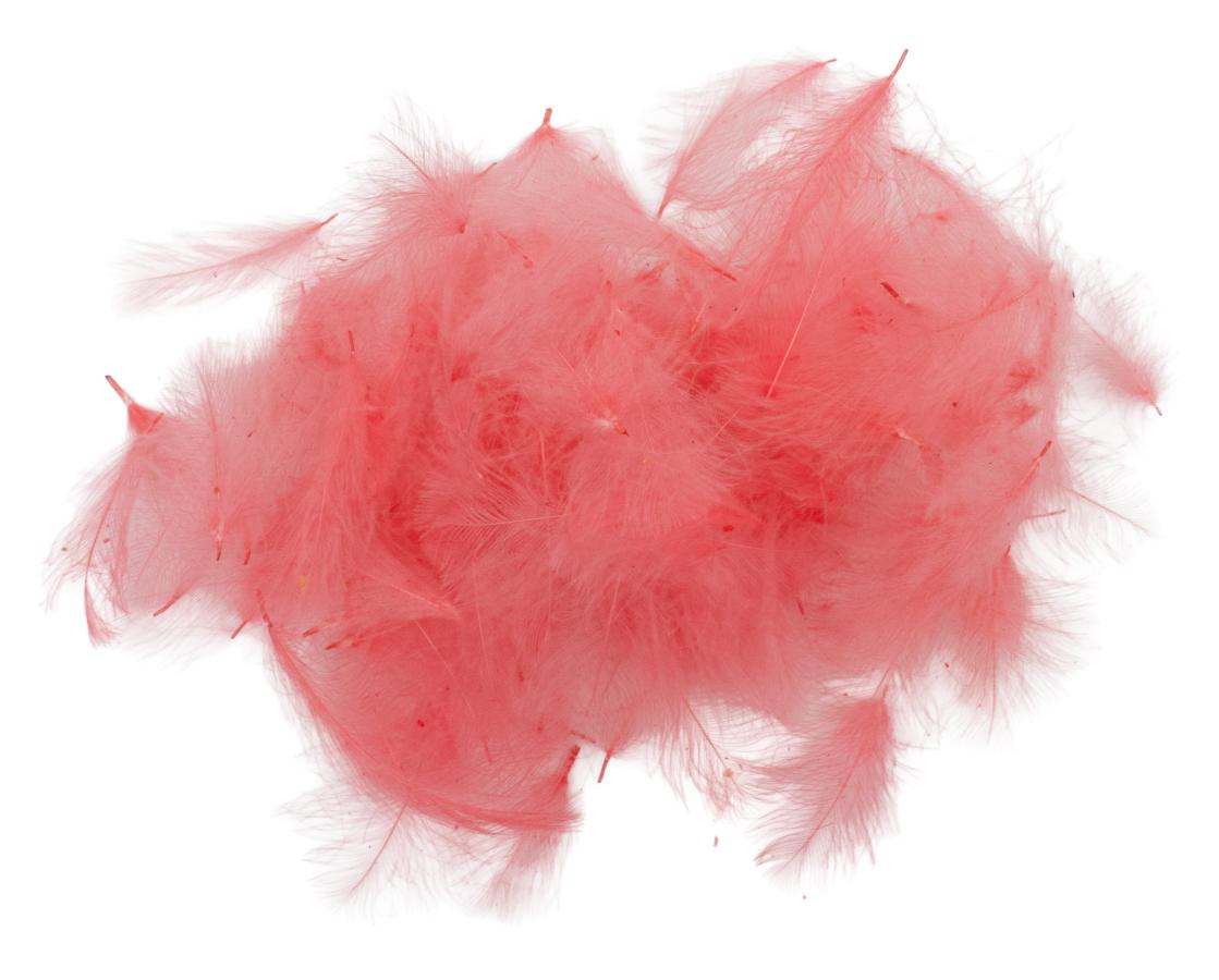 30 - Light Pink