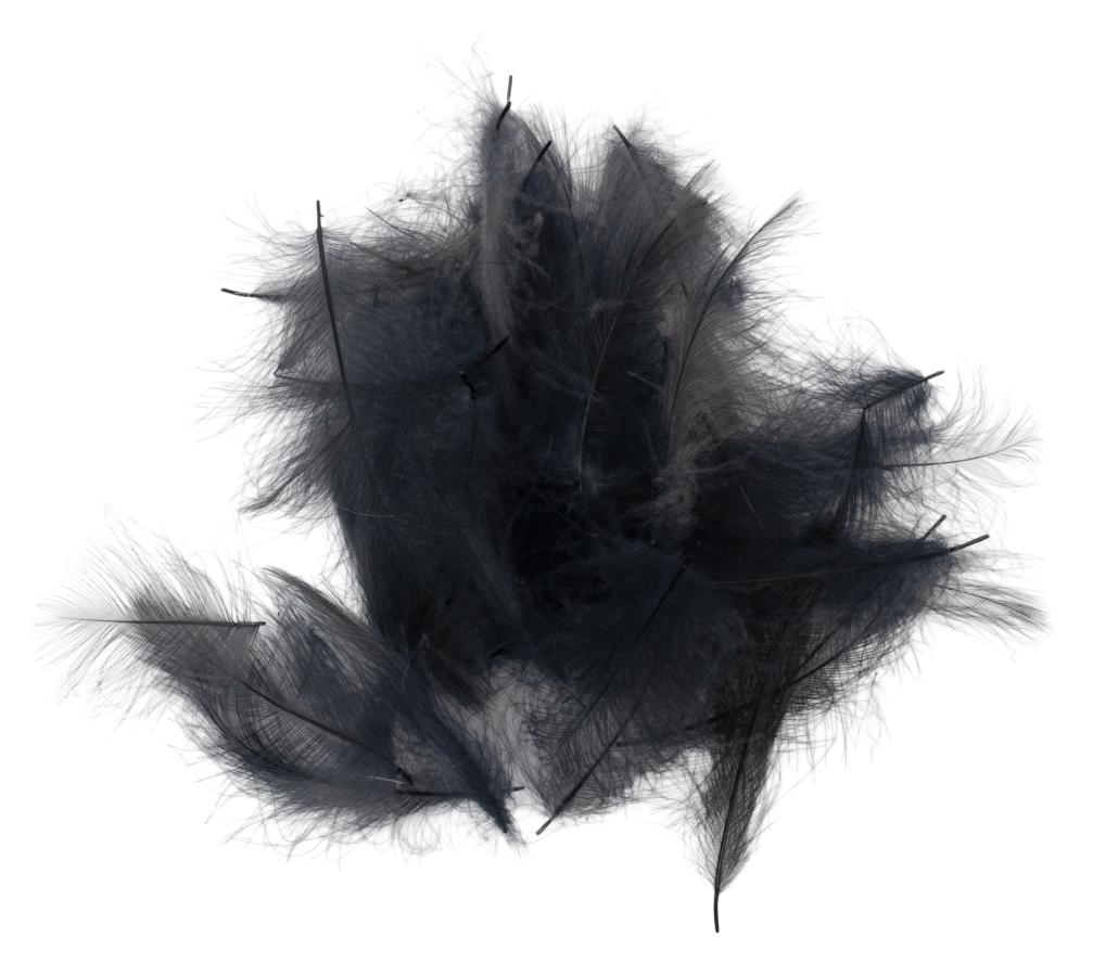 16 - Dark Dun