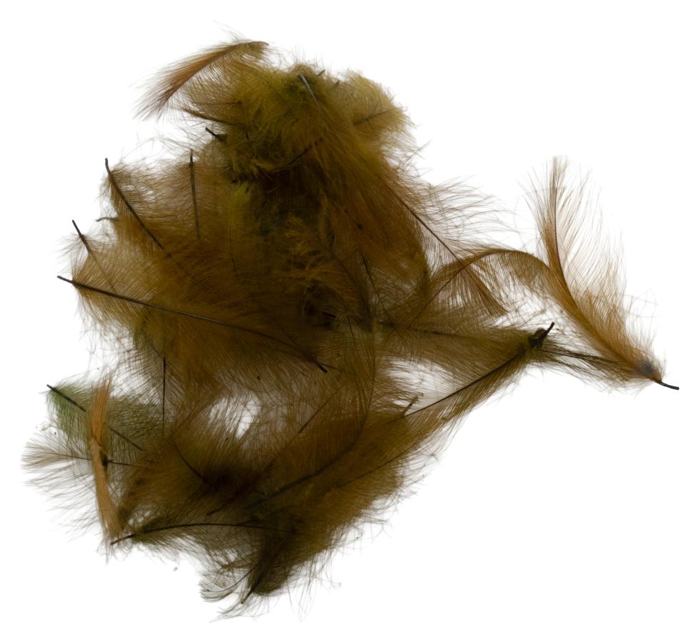 24 - Dark Olive