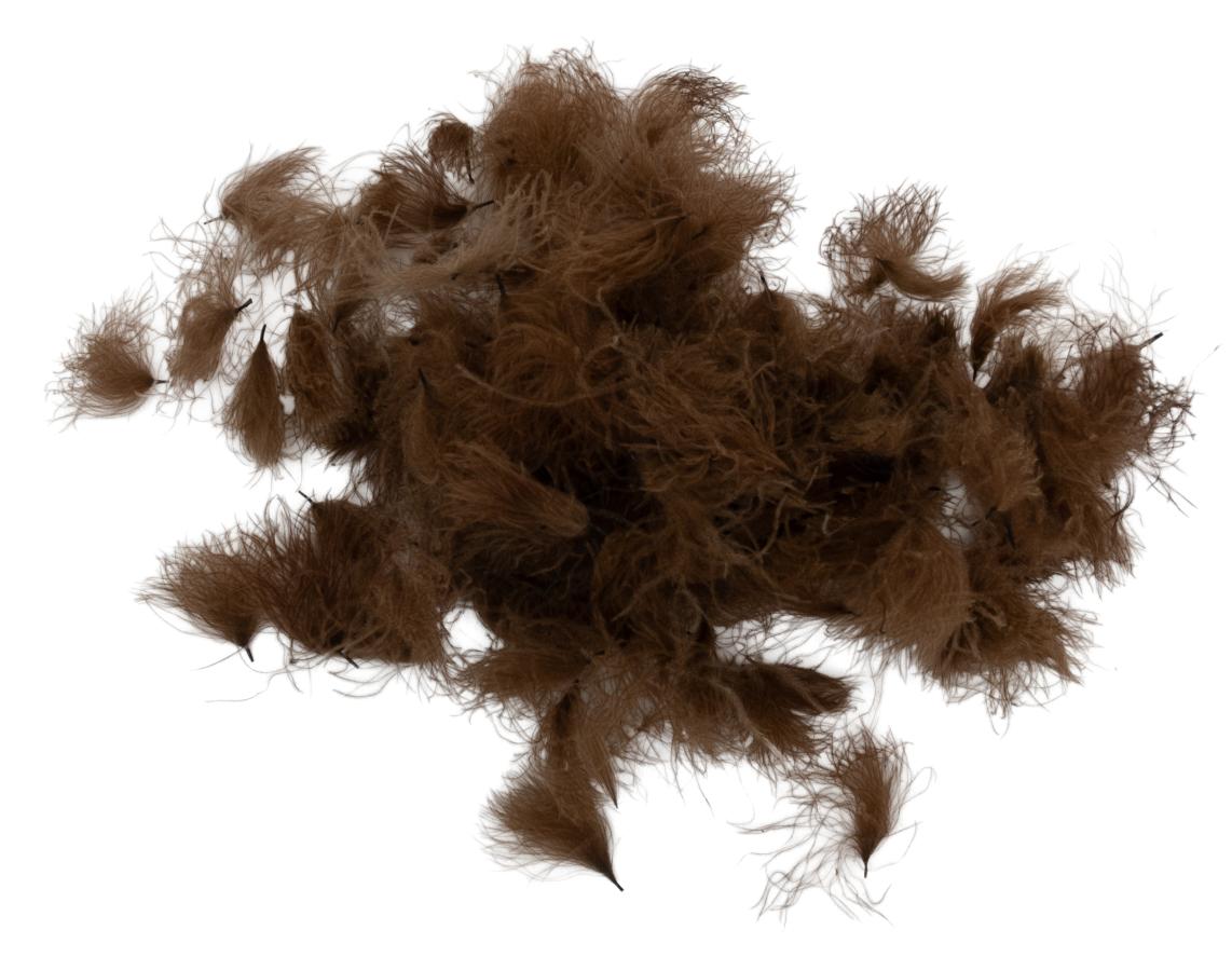 07 - Dark Brown