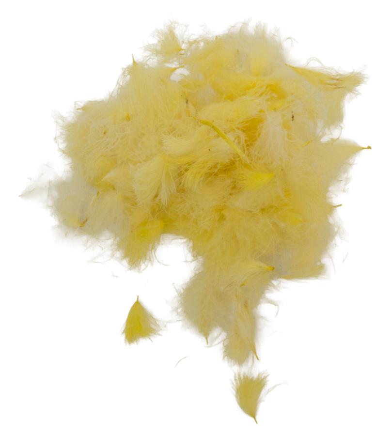 09 - Pale Yellow