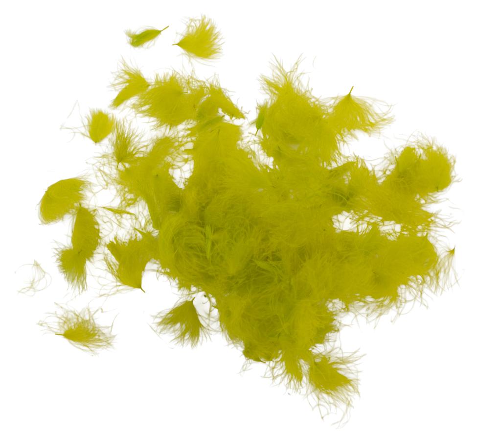 22 - Pale Olive