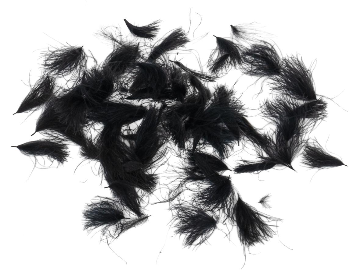 33 - Black